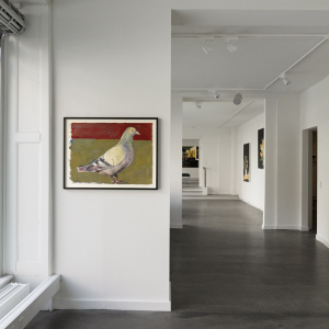 Installation view from the exhibition “Duerne fra Rom (The Pigeons of Rome)” by Erik A. Frandsen at Hans Alf Gallery