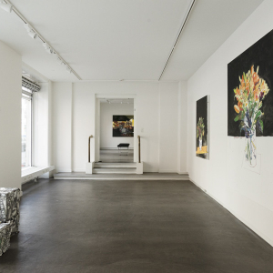 Installation view from the exhibition “Duerne fra Rom (The Pigeons of Rome)” by Erik A. Frandsen at Hans Alf Gallery