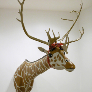 African Reindeer, 2010