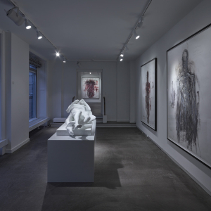 Installation view of the 2015 exhibition "Limbo" by Christian Lemmerz at Hans Alf Gallery