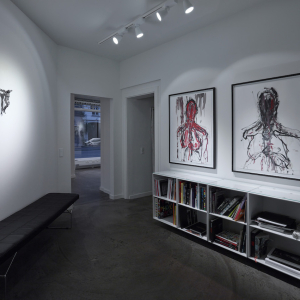 Installation view of the 2015 exhibition "Limbo" by Christian Lemmerz at Hans Alf Gallery