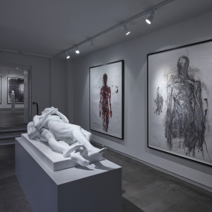 Installation view of the 2015 exhibition "Limbo" by Christian Lemmerz at Hans Alf Gallery