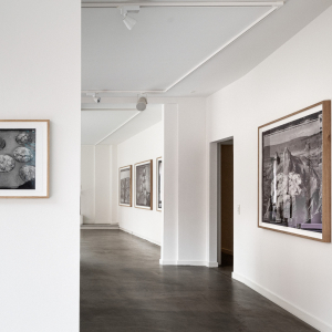 Installation view of the 2023 exhibition "Crack" by Henrik Saxgren at Hans Alf Gallery