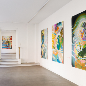 Installation view of the exhibition "Two Worlds" by Martin Bigum at Hans Alf Gallery