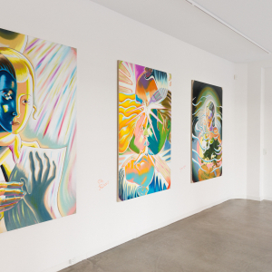 Installation view of the exhibition "Two Worlds" by Martin Bigum at Hans Alf Gallery