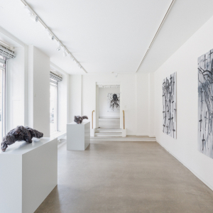 Installation view of the exhibition "Works 22/23" by Christian Lemmerz at Hans Alf Gallery